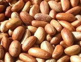 Premium Orogbo (Bitter Kola) - Natural African Health Nut (1kg)
