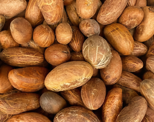 Premium Orogbo (Bitter Kola) - Natural African Health Nut (1kg)