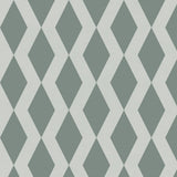 Palm Shadow Geometric – Surface Pattern for Fabric Design