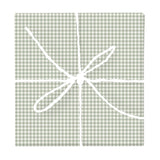 Sage & Terracotta Gingham Check – Seamless Pattern for Fabric & Wallpaper — Wrapped Gift Box